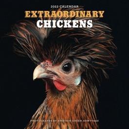 Extraordinarry Chickens Calendar