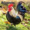 Rooster Calendar 2024