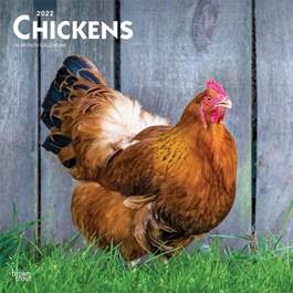 Chickens Calendar