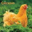 Chickens 2024 Calendar