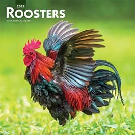 Roosters Calendar